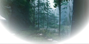 Aca Forest