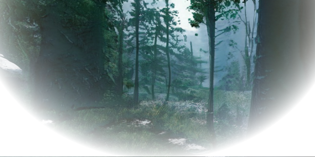 Aca Forest