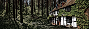 Aerie Inn