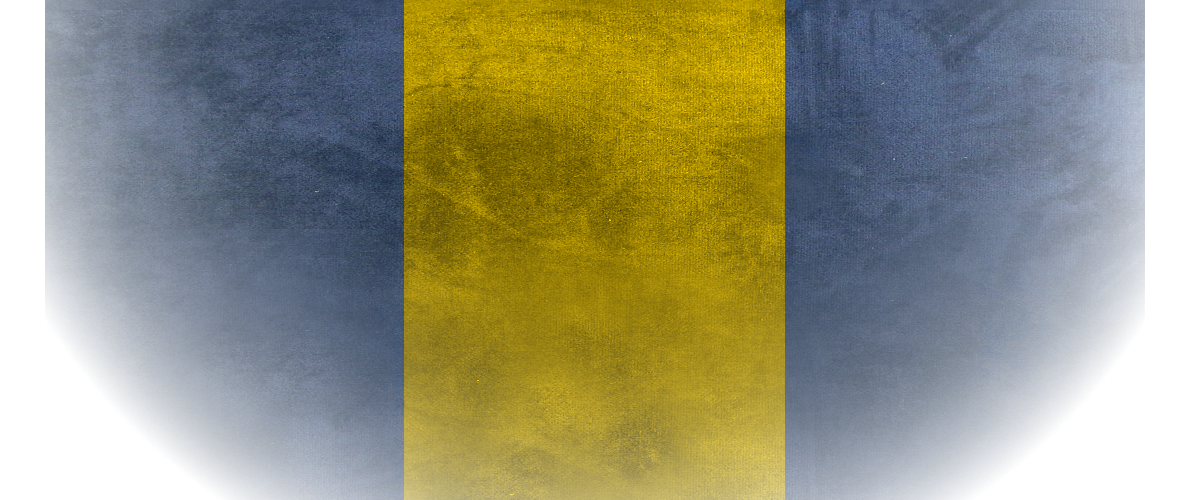 Royal Guard Academy of Orsholon