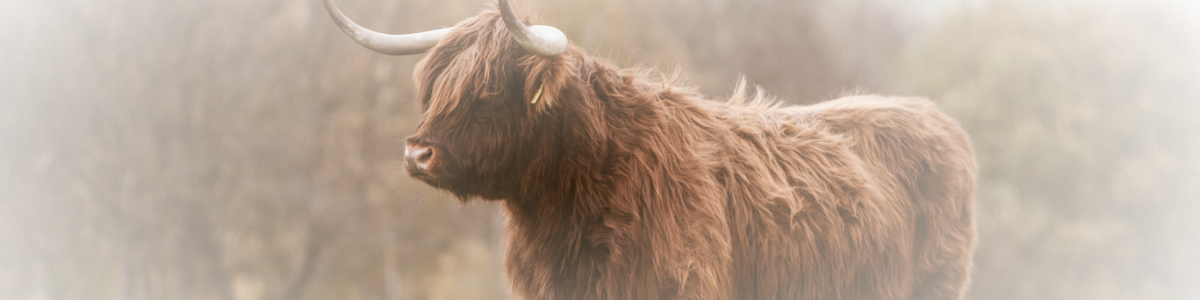 Hargus in early years